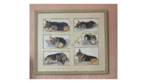 Galerie 10 Encadrement Chien pastel - simple passe-partout, biseau droit, ouvertures multiples