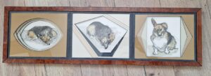 Galerie 20 Encadrement dessin au crayon chien Baguette bois loupe- multiples passe-partout délimitant 3 fenêtres diversement ouvertes sur 3 dessins